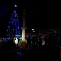 Rozsvícení vánočního stromu 2015
