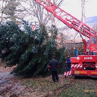 Vánoční strom 2012