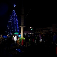 Rozsvícení vánočního stromu 2015