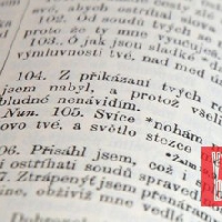 Výstava Bible včera, dnes a zítra
